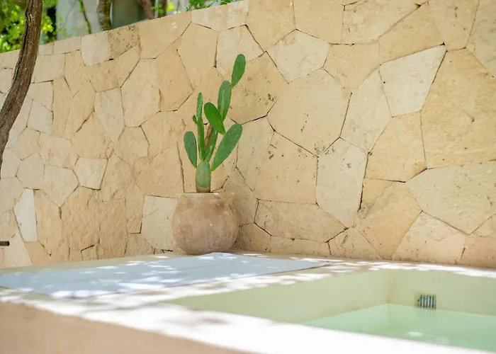 Tropical Retreat: Scooters, Hot Tub, Pool, Projector Tulum